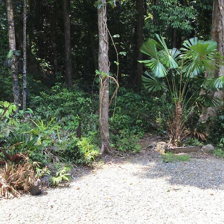 Forest Views Diwan Exterior photo